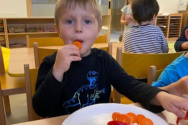 Obrázek č.12